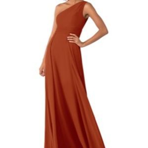 Paprika prom/bridesmaids dress 16